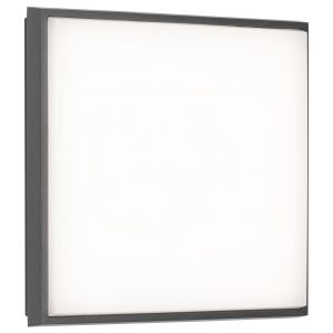 LCD Wand- und Deckenleuchte LED 5062