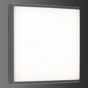 LCD Wand- und Deckenleuchte LED 5061