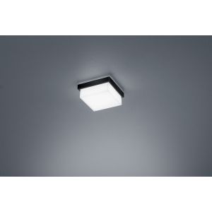 LED-Deckenleuchte COSI 10x10cm schwarz