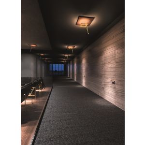 Icone Minitallux LED-Deckenleuchte PETRA-P2 43cm/50cm/66cm