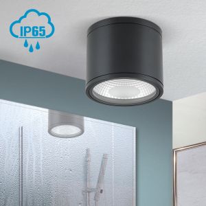 Orion LED-Deckenaußenleuchte 15cm SPUTNIK schwarz DL 7-665 schwarz