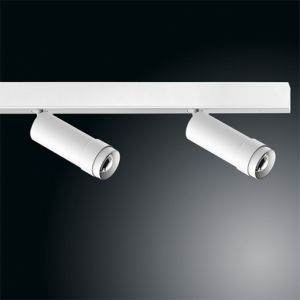 Ribag VERTICO LED-2er-Aufbauspot (DALI)