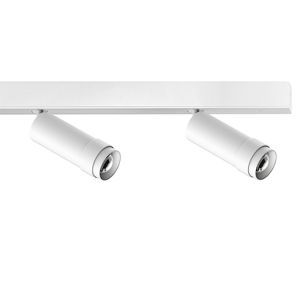 Ribag VERTICO LED-2er-Aufbauspot (DALI)