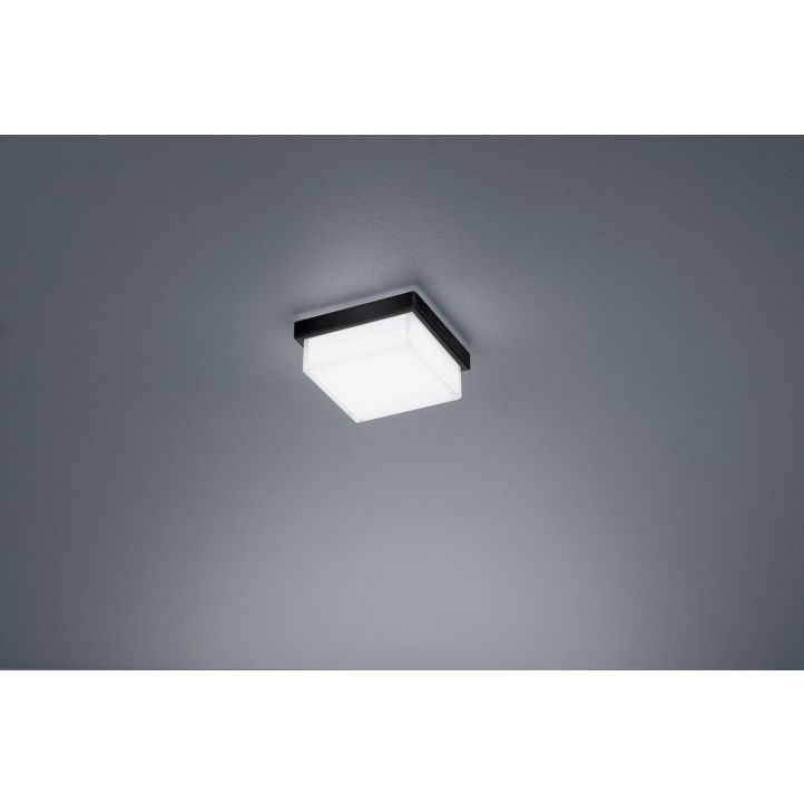 Helestra LED-Deckenleuchte COSI Schwarz matt Weiß satiniert 11 cm 15/1905.22 Helestra LED-Deckenleuchte COSI Schwarz matt Weiß satiniert 11 cm 15/1905.22