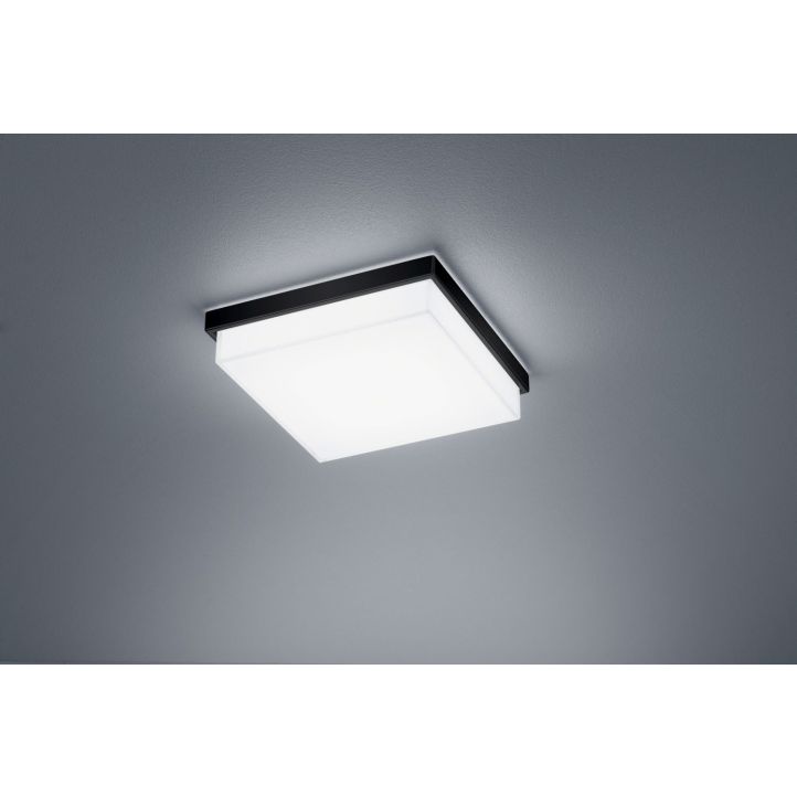 Helestra LED-Deckenleuchte COSI Schwarz matt Weiß satiniert 21 cm 15/1906.22 Helestra LED-Deckenleuchte COSI Schwarz matt Weiß satiniert 21 cm 15/1906.22