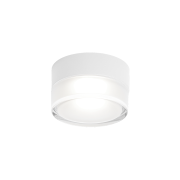 Wever & Ducré LED-Wand-/Deckenaußenleuchte BLAS OUTDOOR CEILING - WALL SURF 1.0  736387