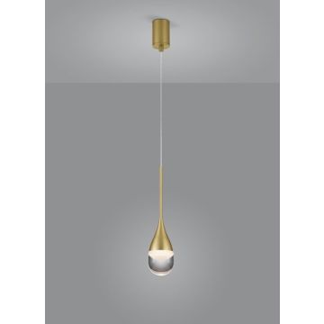 Helestra LED-Pendelleuchte DEEP gold 16/2110.09