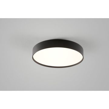 Light-Point LED-Wand-/Deckenleuchte SURFACE 50cm schwarz 257706
